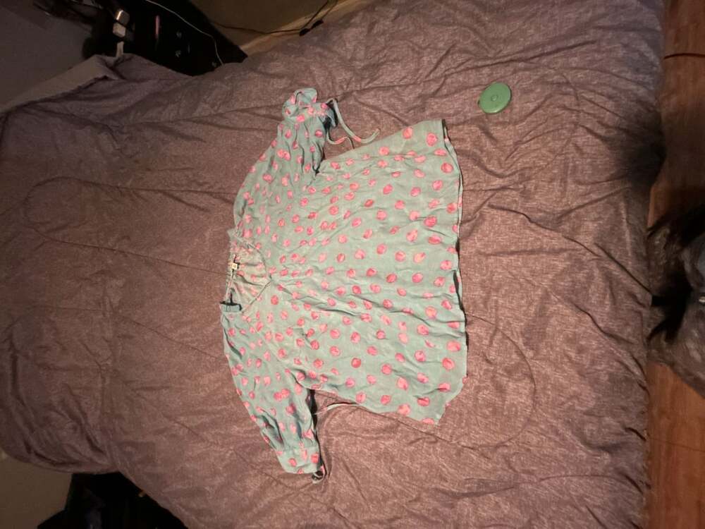 Zac & Rachel Woman Blue Pink Dot Print V-Neck Ruffle 3/4 Sleeve Blouse Size 1X